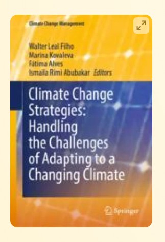 Climate Change Strategies book cover