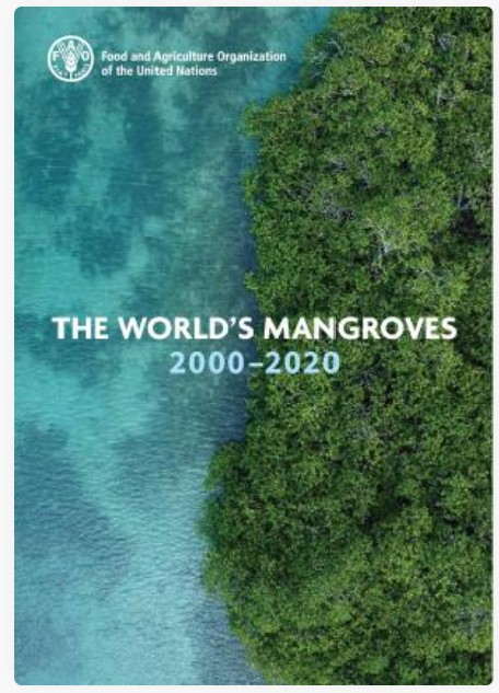 The World's Mangroves 2000–2020 by FAO